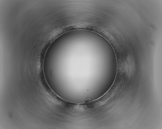 X0000112890261200909041708