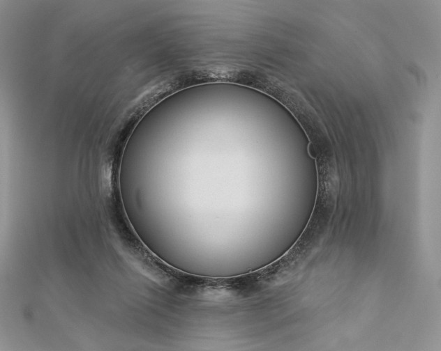 X0000112890262200909041708