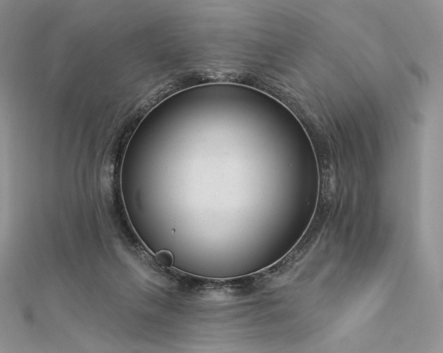 X0000112890263200909041708