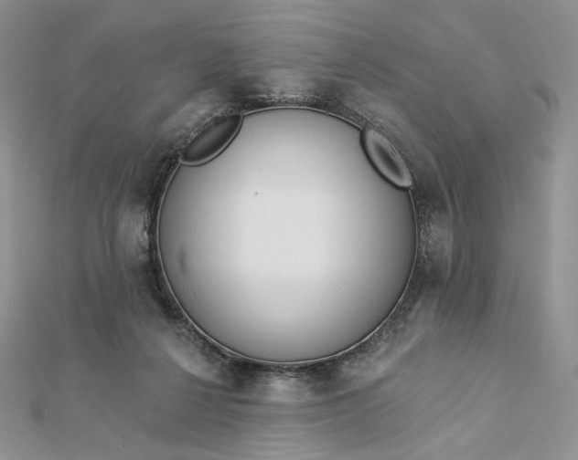 X0000112890264200909041708