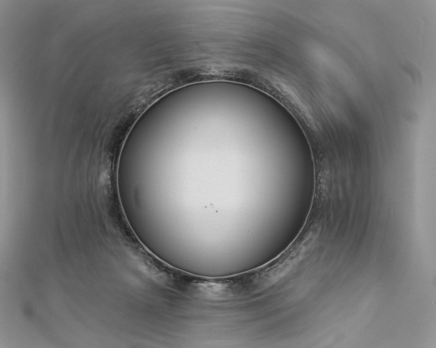 X0000112890265200909041708