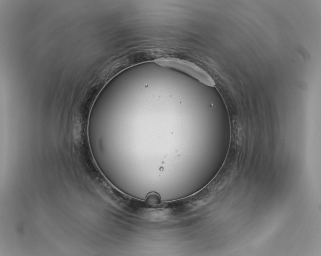 X0000112890266200909041708