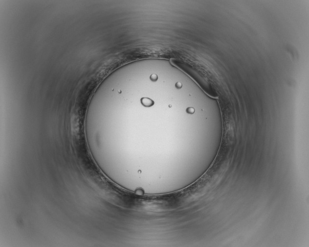 X0000112890268200909041708