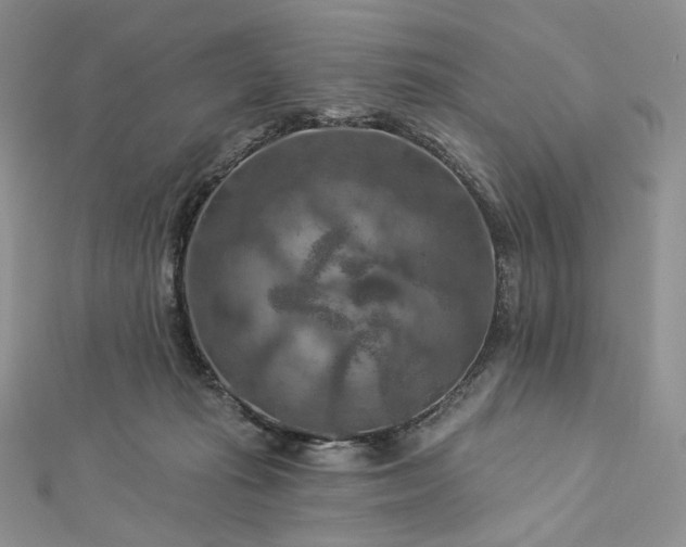 X0000112890269200909041708
