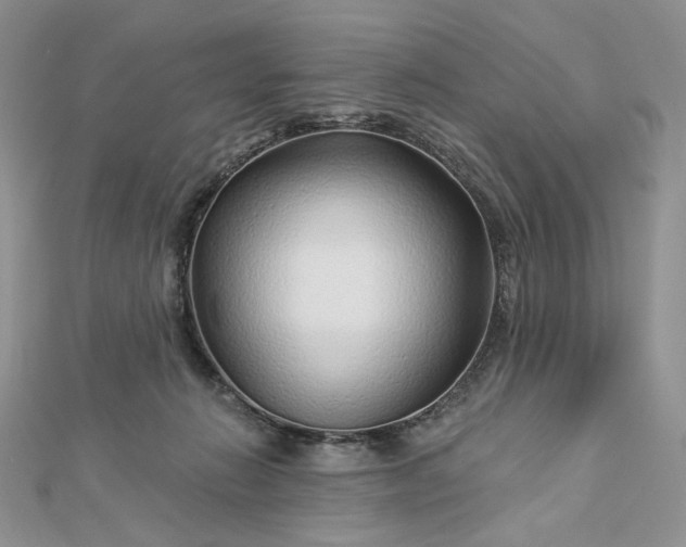 X0000112890270200909041708
