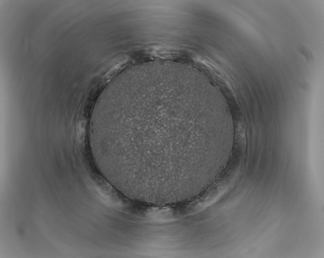 X0000112890271200909041708