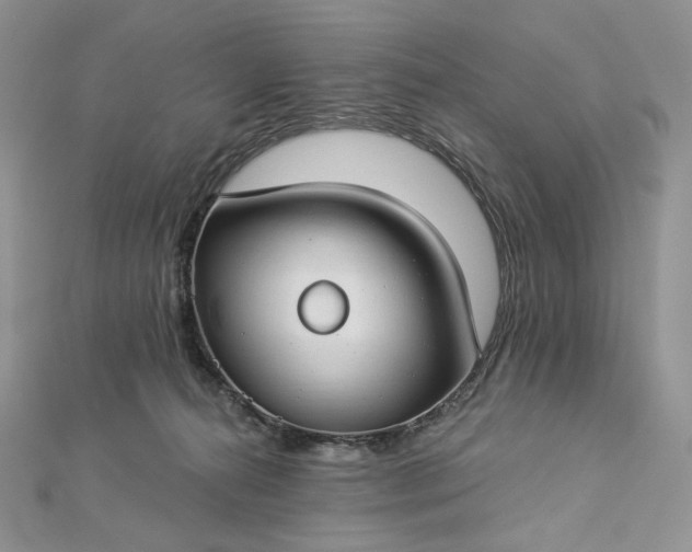 X0000112890272200909041708