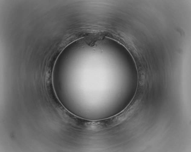 X0000112890273200909041708