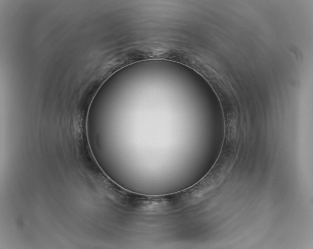 X0000112890274200909041708