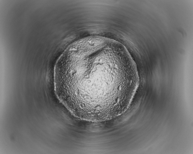 X0000112890277200909041708