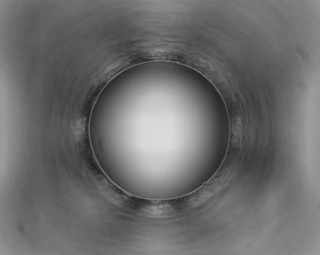 X0000112890278200909041708