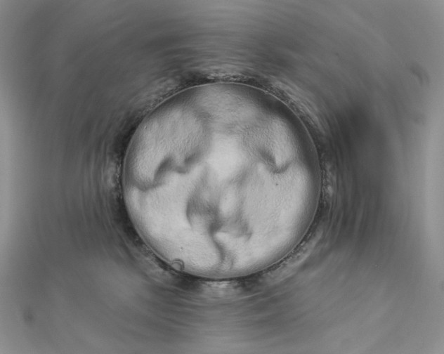 X0000112890281200909041708