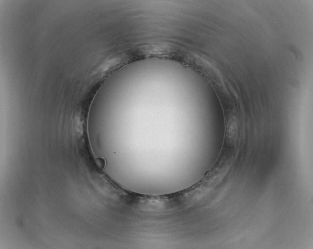 X0000112890282200909041708
