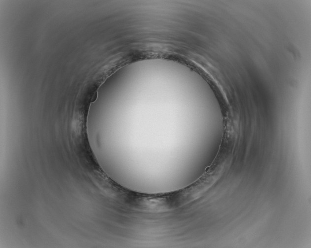 X0000112890283200909041708
