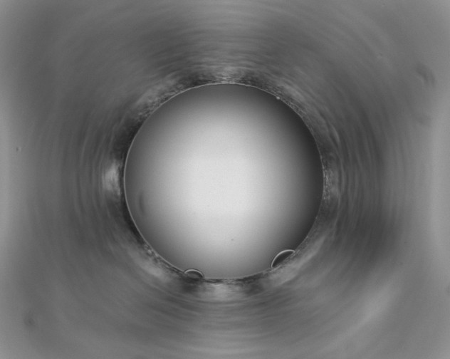 X0000112890286200909041708