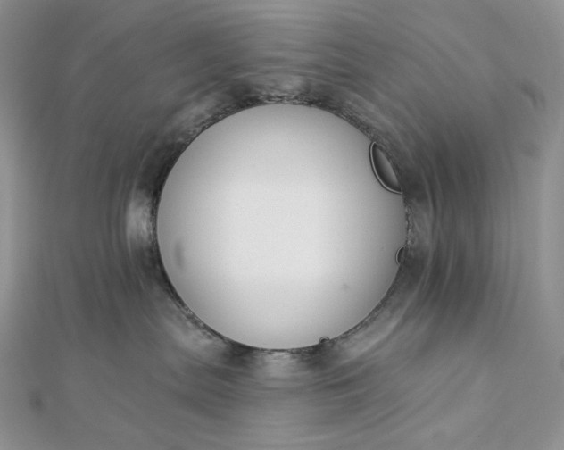 X0000112890287200909041708