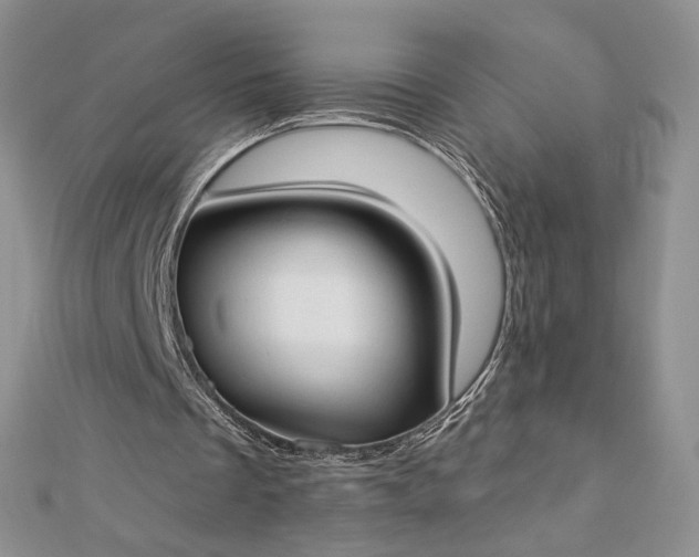 X0000112890289200909041707
