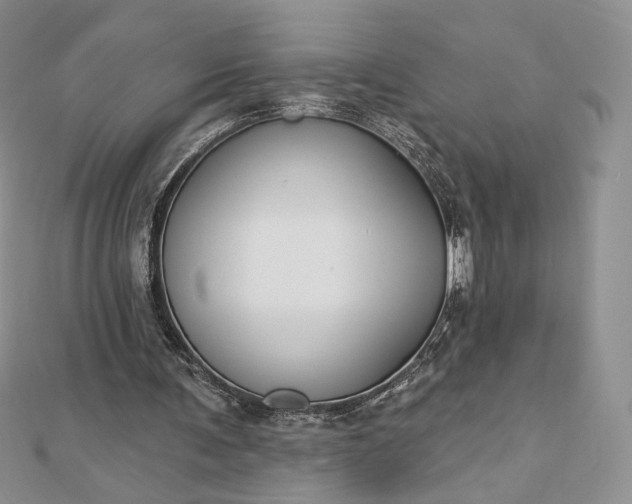 X0000112890291200909041707