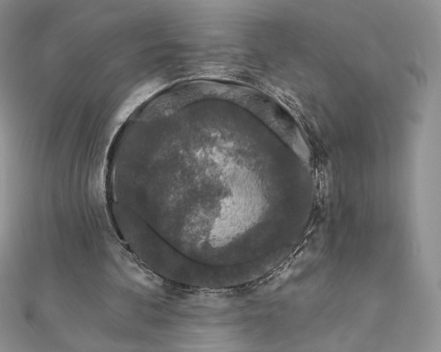 X0000112890292200909041707