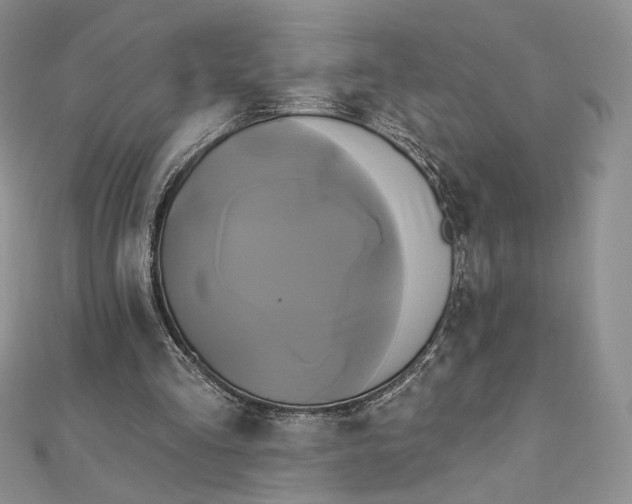 X0000112890293200909041707