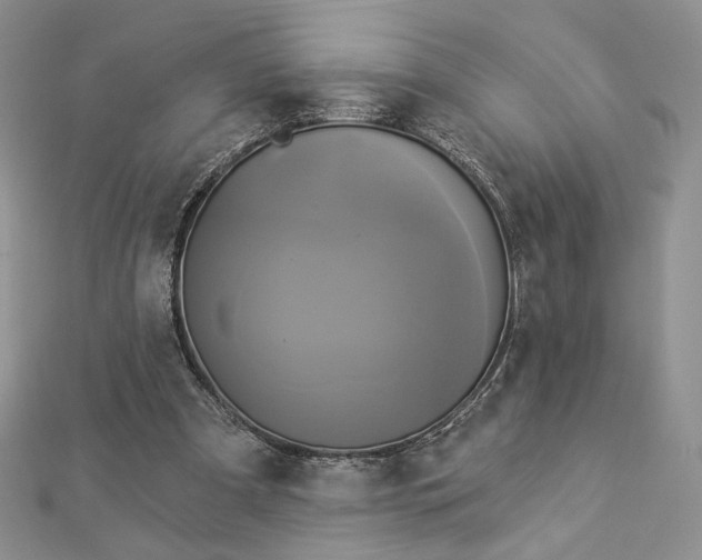 X0000112890297200909041707