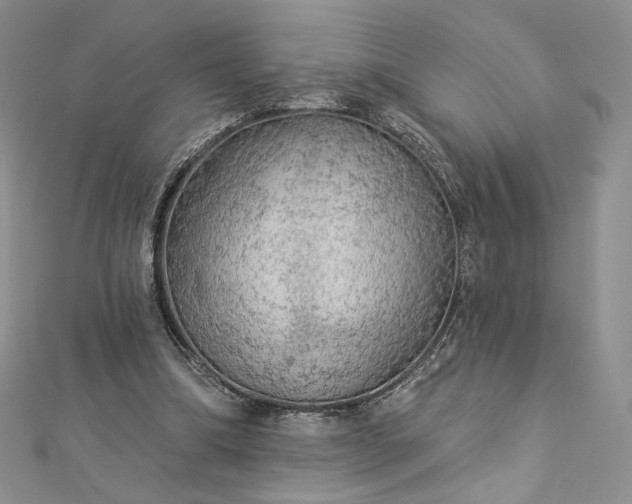 X0000112890298200909041707