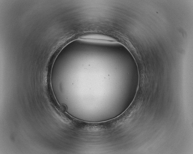 X0000112890299200909041707