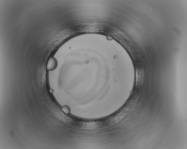 X0000112890301200909041707