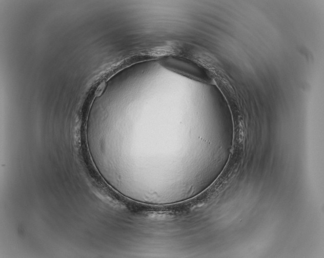 X0000112890303200909041707