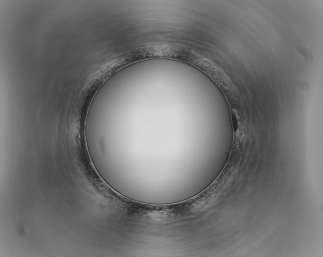 X0000112890306200909041707