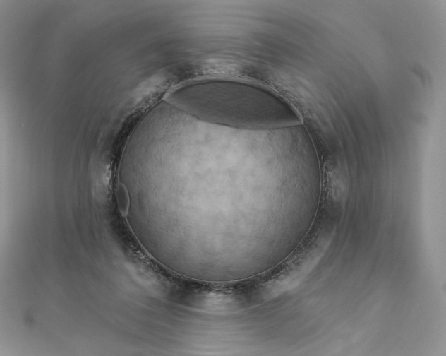 X0000112890308200909041707