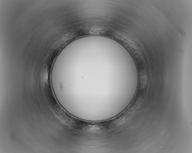 X0000112890310200909041707
