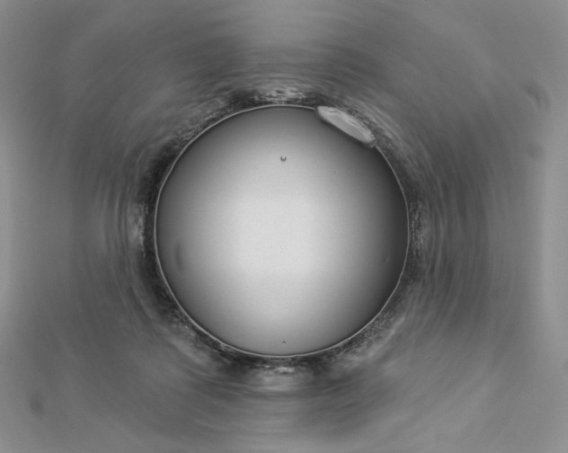X0000112890315200909041707