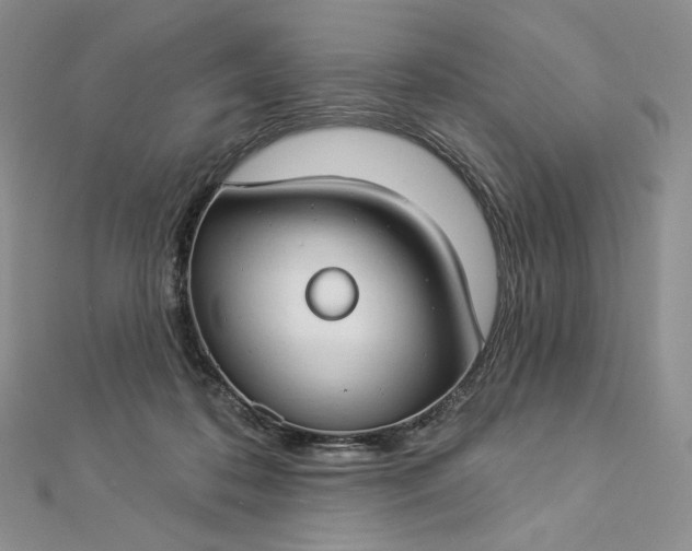 X0000112890316200909041707