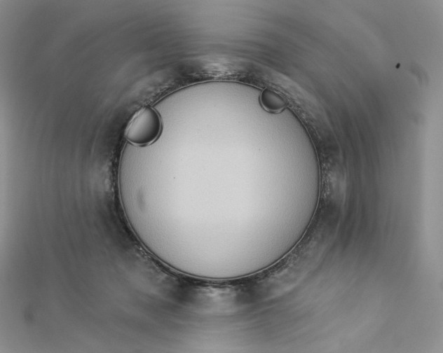 X0000112890317200909041707