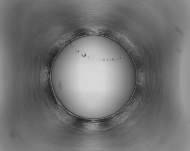 X0000112890318200909041707