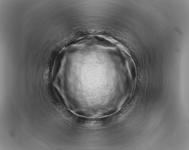 X0000112890319200909041707