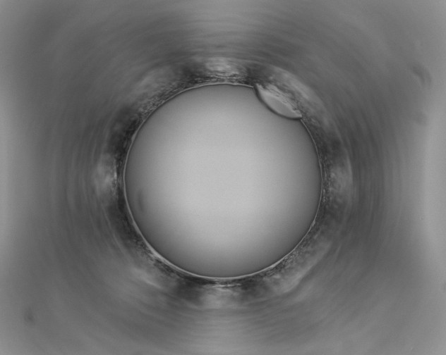 X0000112890320200909041707