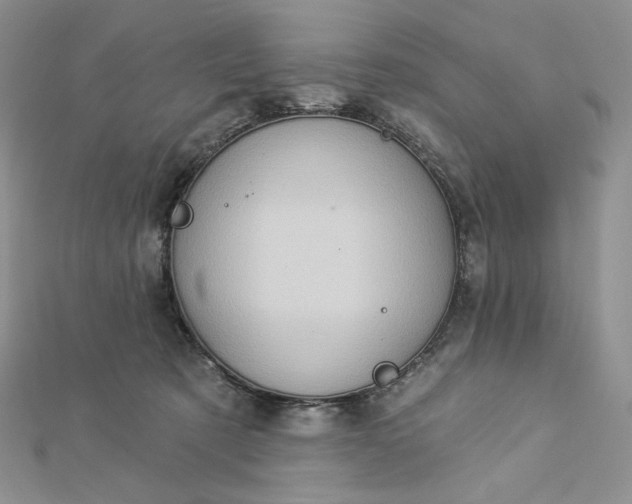 X0000112890321200909041707