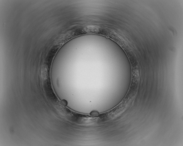 X0000112890323200909041707