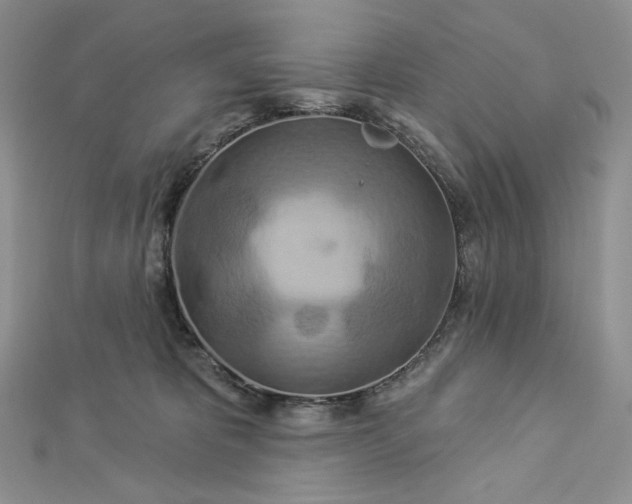 X0000112890325200909041707