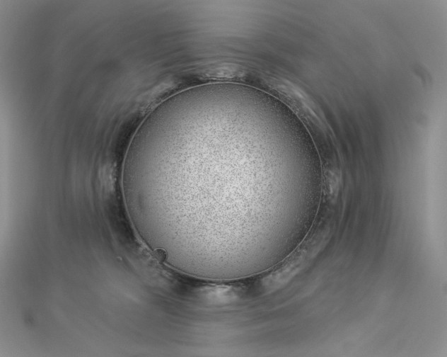 X0000112890326200909041707