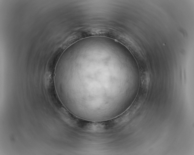 X0000112890327200909041707