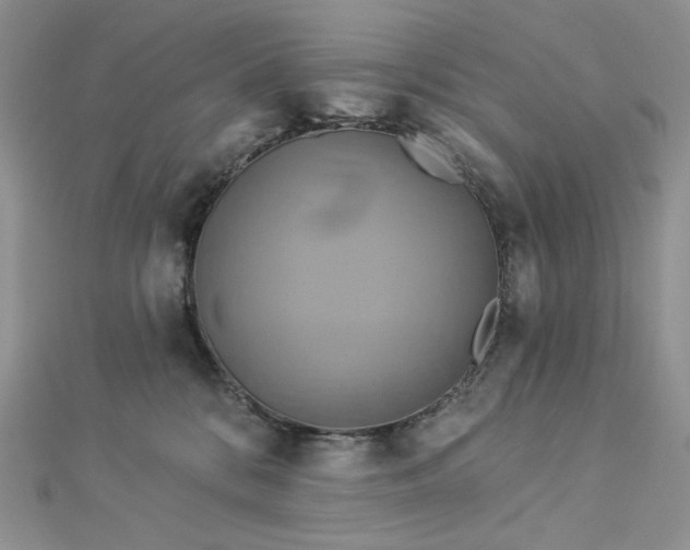 X0000112890328200909041707