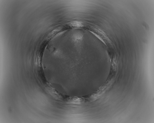 X0000112890330200909041707