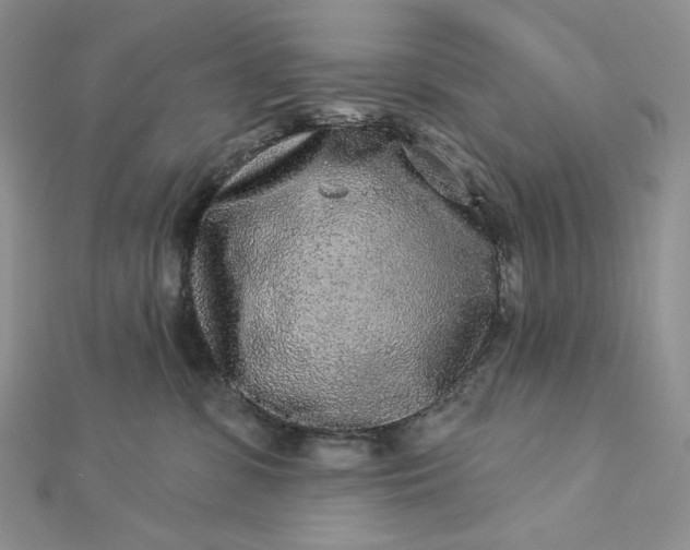 X0000112890331200909041707