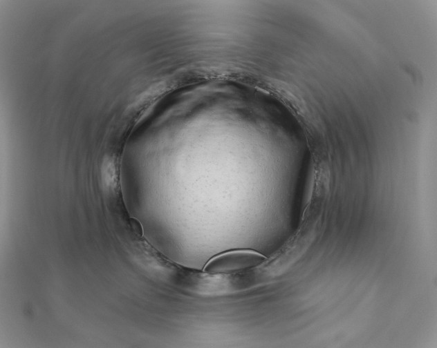 X0000112890335200909041707