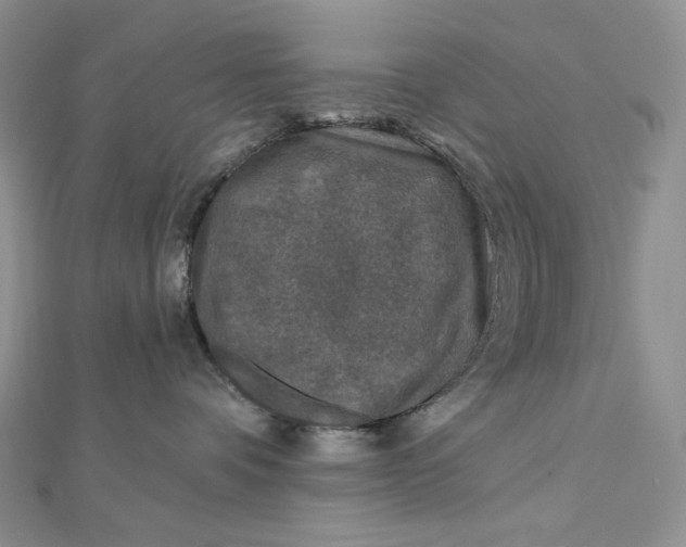 X0000112890336200909041707