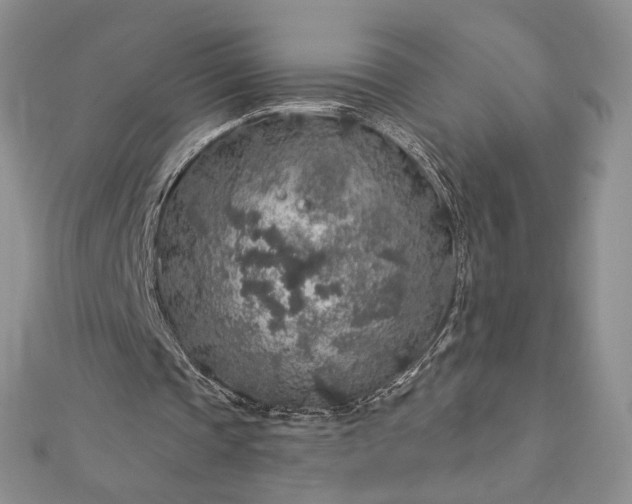X0000112890337200909041706