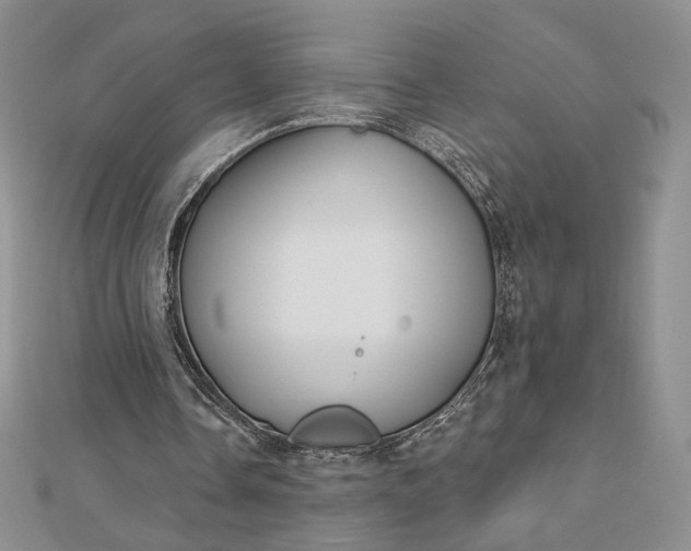 X0000112890338200909041706